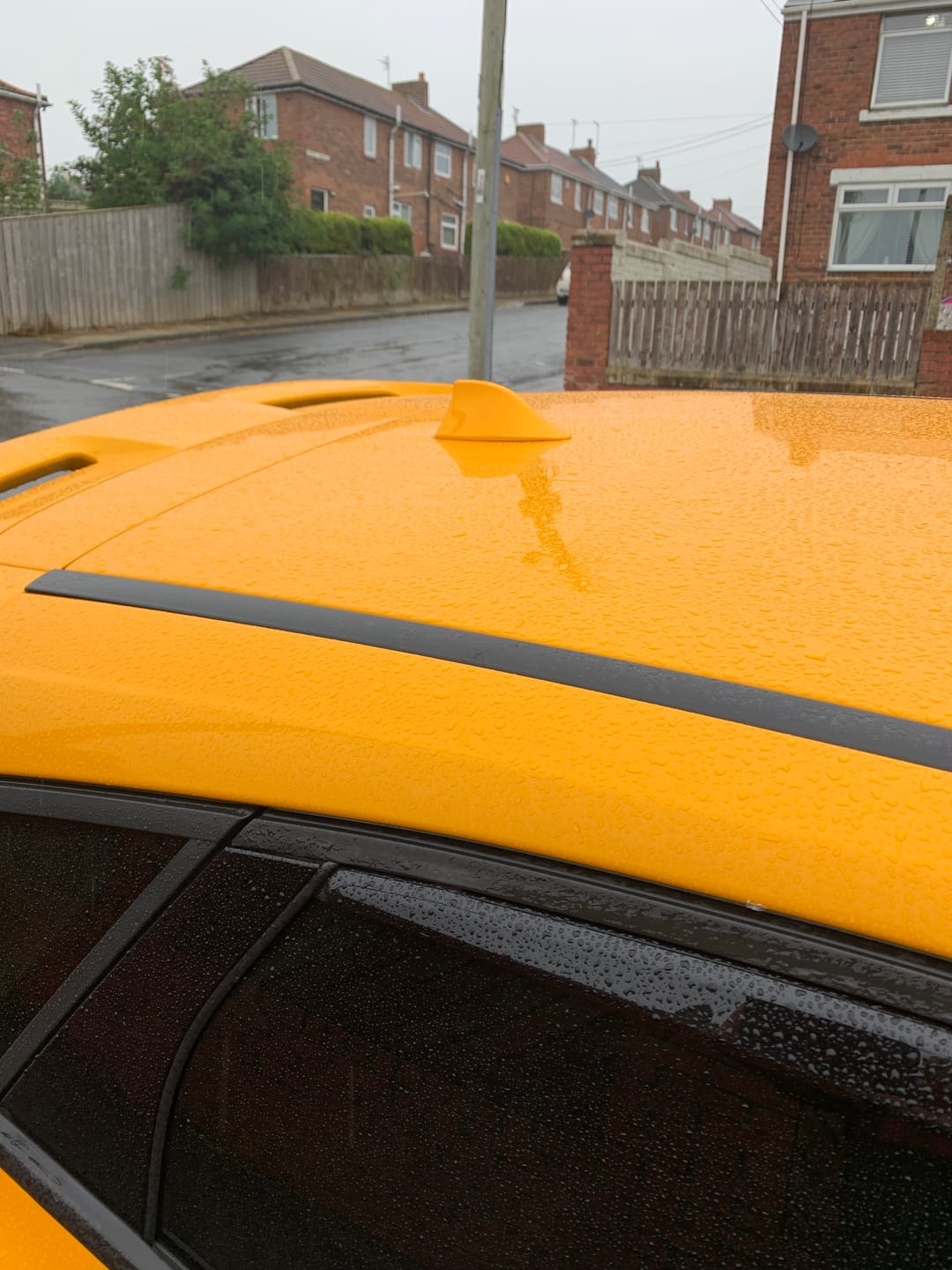 Customer photo review of 'Shark Fin' Aerial (Painted) - Mk3/3.5 Ford Focus / Mk8 Ford Fiesta