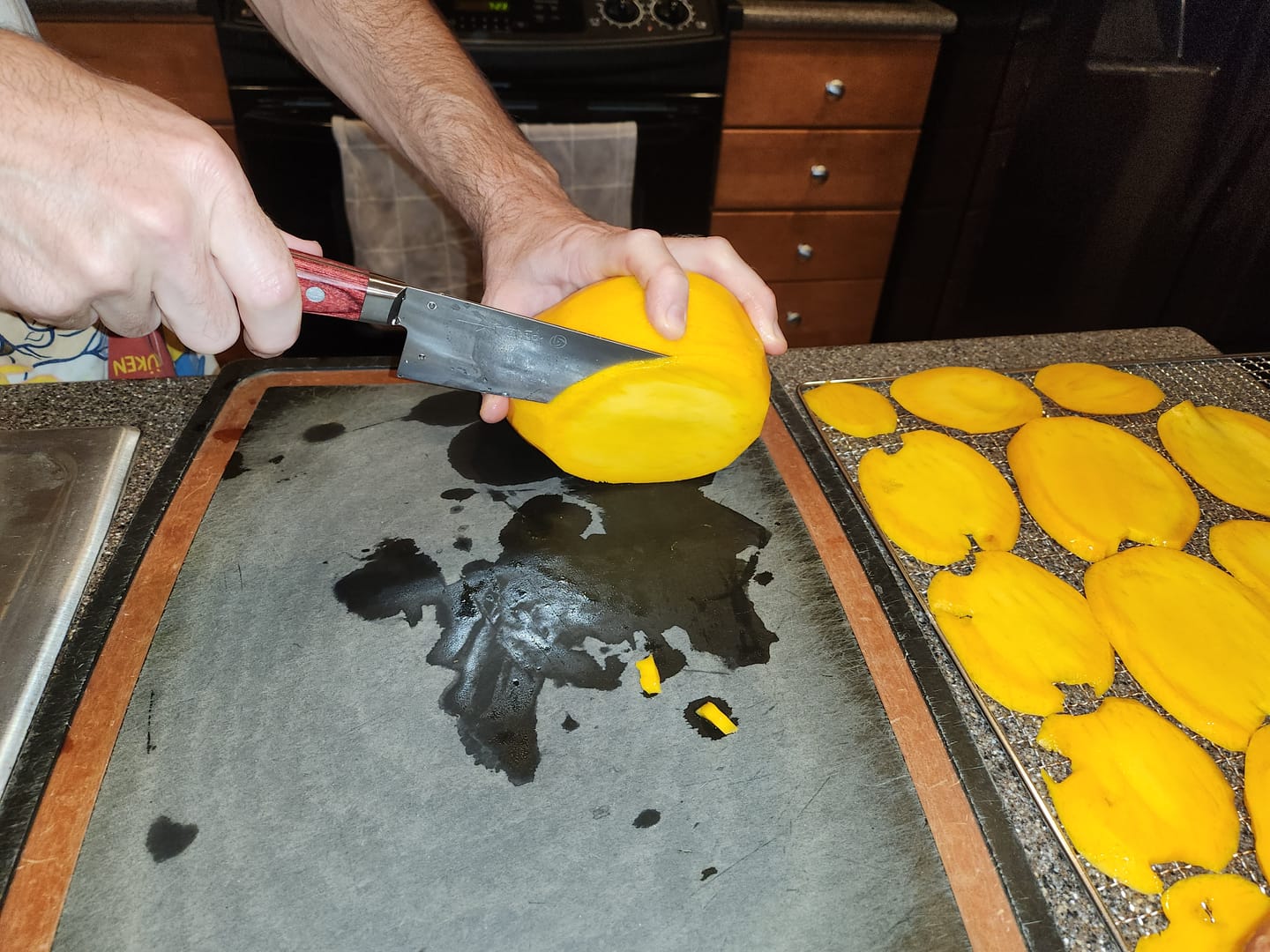 Customer photo review of Takamura R2 Santoku 170mm (6.7")
