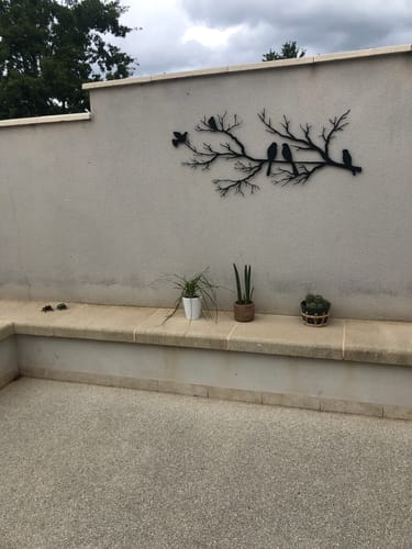 Customer photo review of Oiseaux sur branche - 2