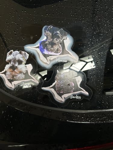 Customer photo review of Personalized Pet lover Crack Car Sticker