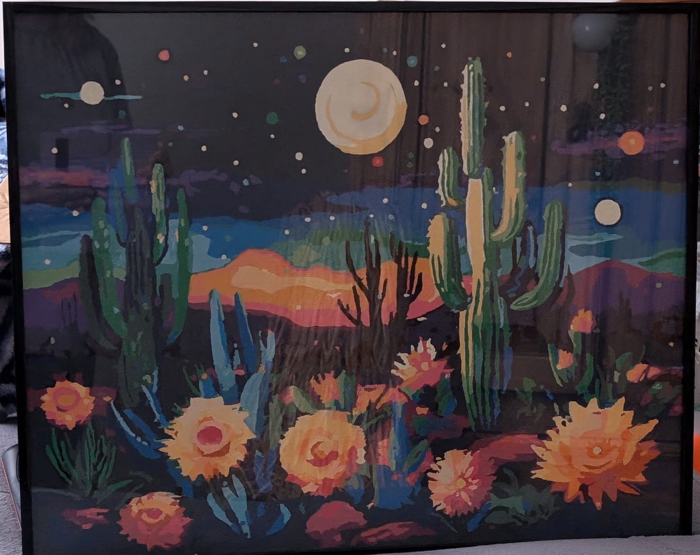 Customer photo review of Desert Evening