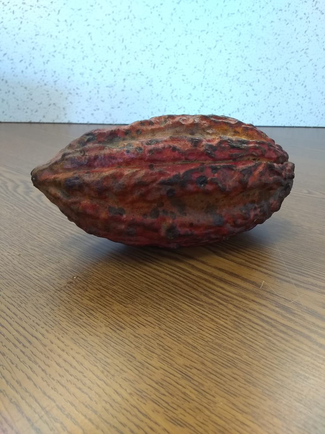 Customer photo review of Cacao (Chocolate)