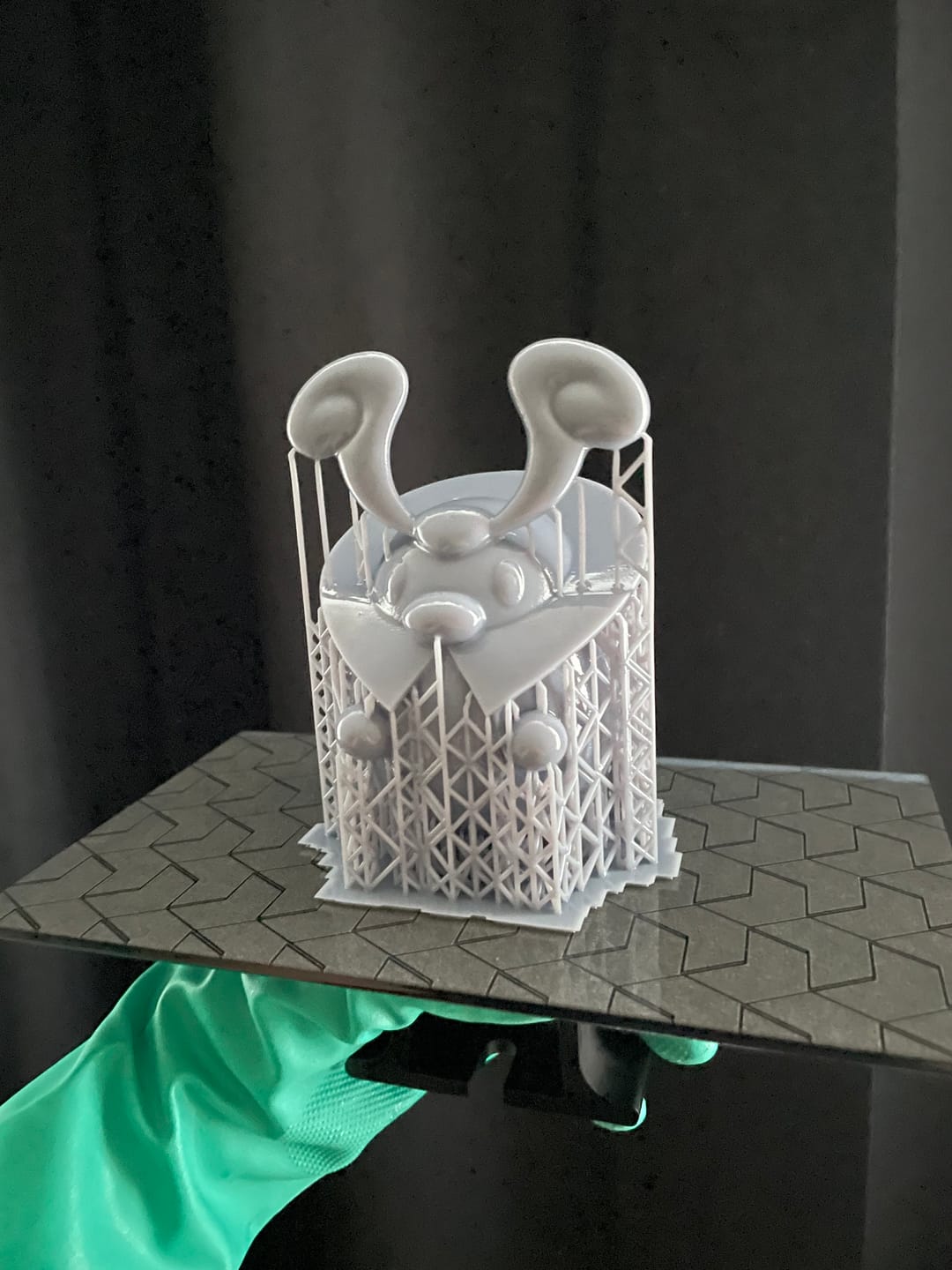Customer photo review of Anycubic Photon Mono M7 Pro
