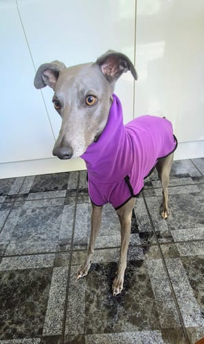Customer photo review of Fleece Sighthound Base-Layer Coat with Underbelly and Snood