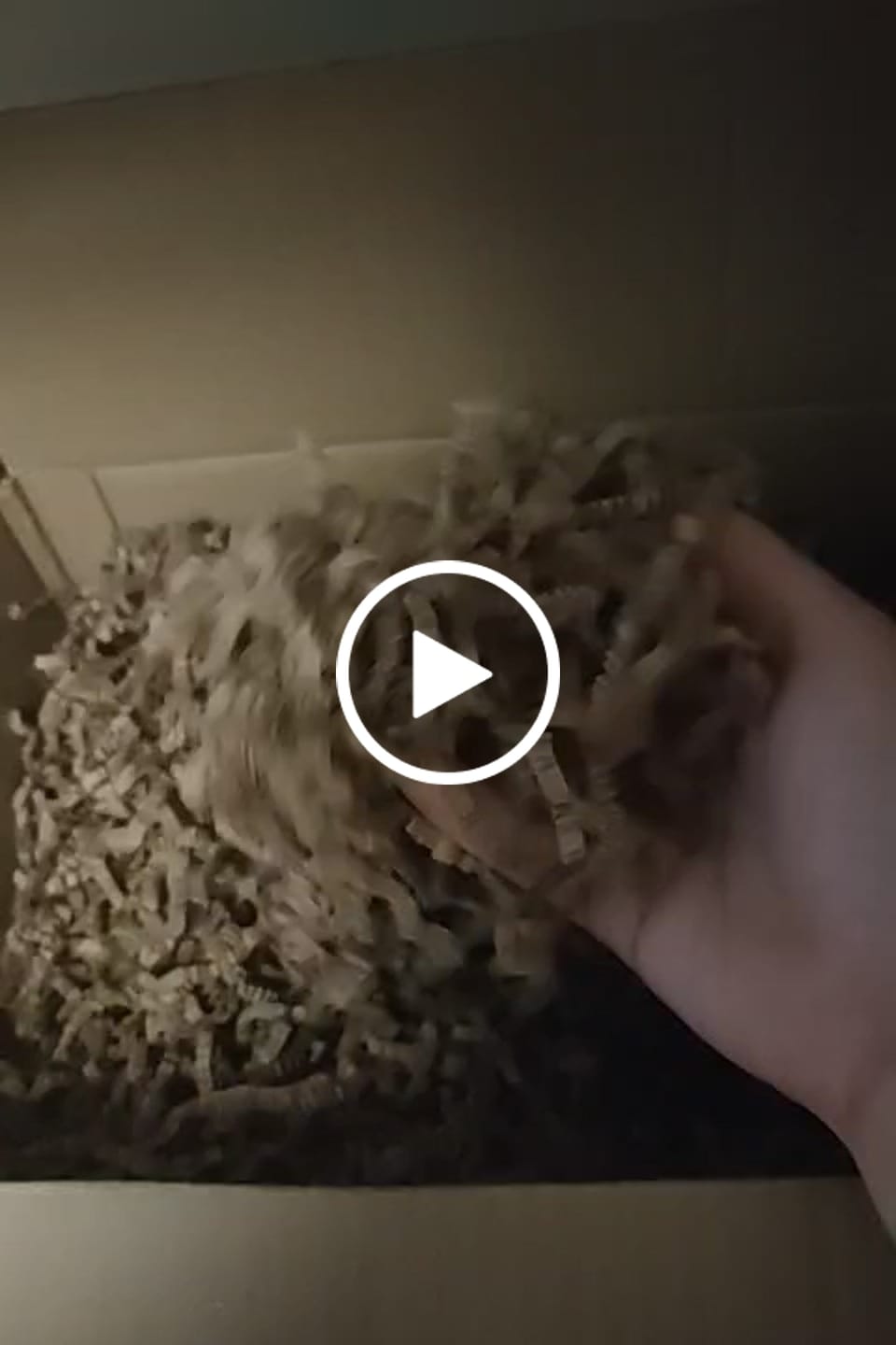 Customer video review of Virutas de relleno kraft de calidad premium