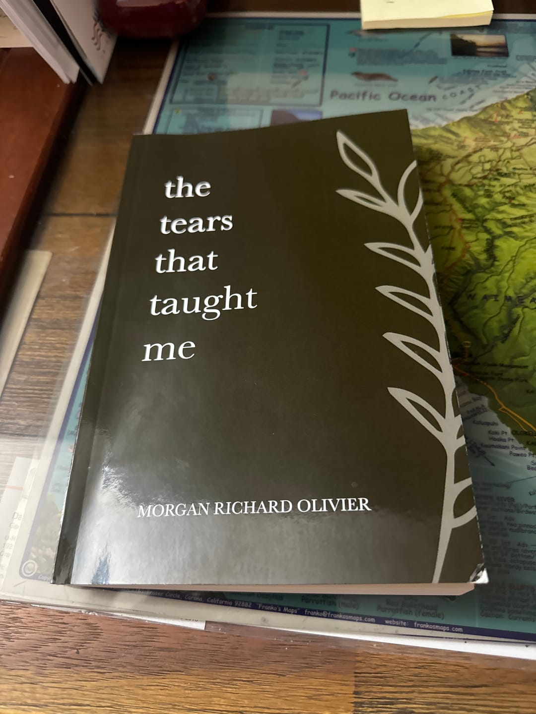 Customer photo review of The Tears That Taught Me