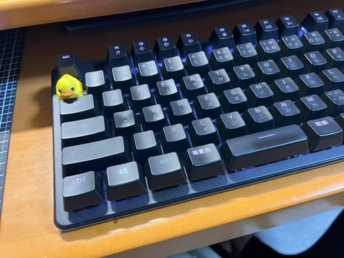 Customer photo review of Duckey Keycap