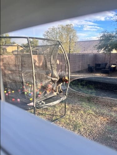 Customer photo review of Classic Outdoor Trampoline with Basketball Hoop