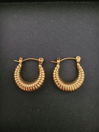Customer photo review of Golden Mia Croissant Hoop Earrings