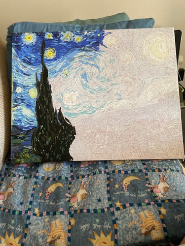 Customer photo review of Starry Night Paint by Numbers