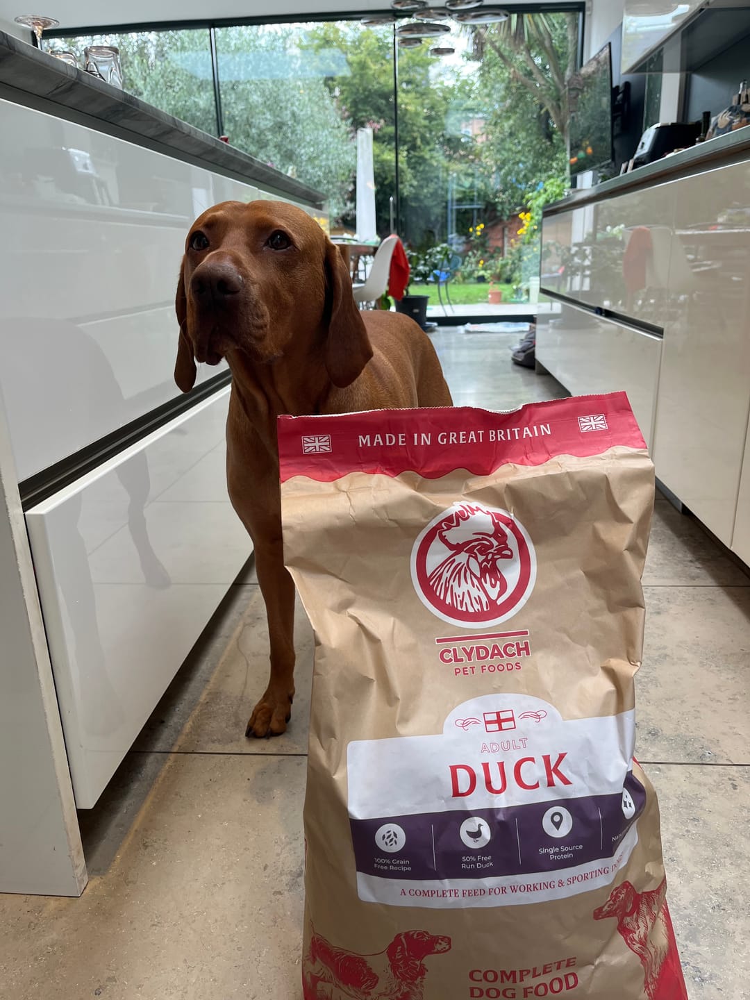 Customer photo review of English Duck Dry Food