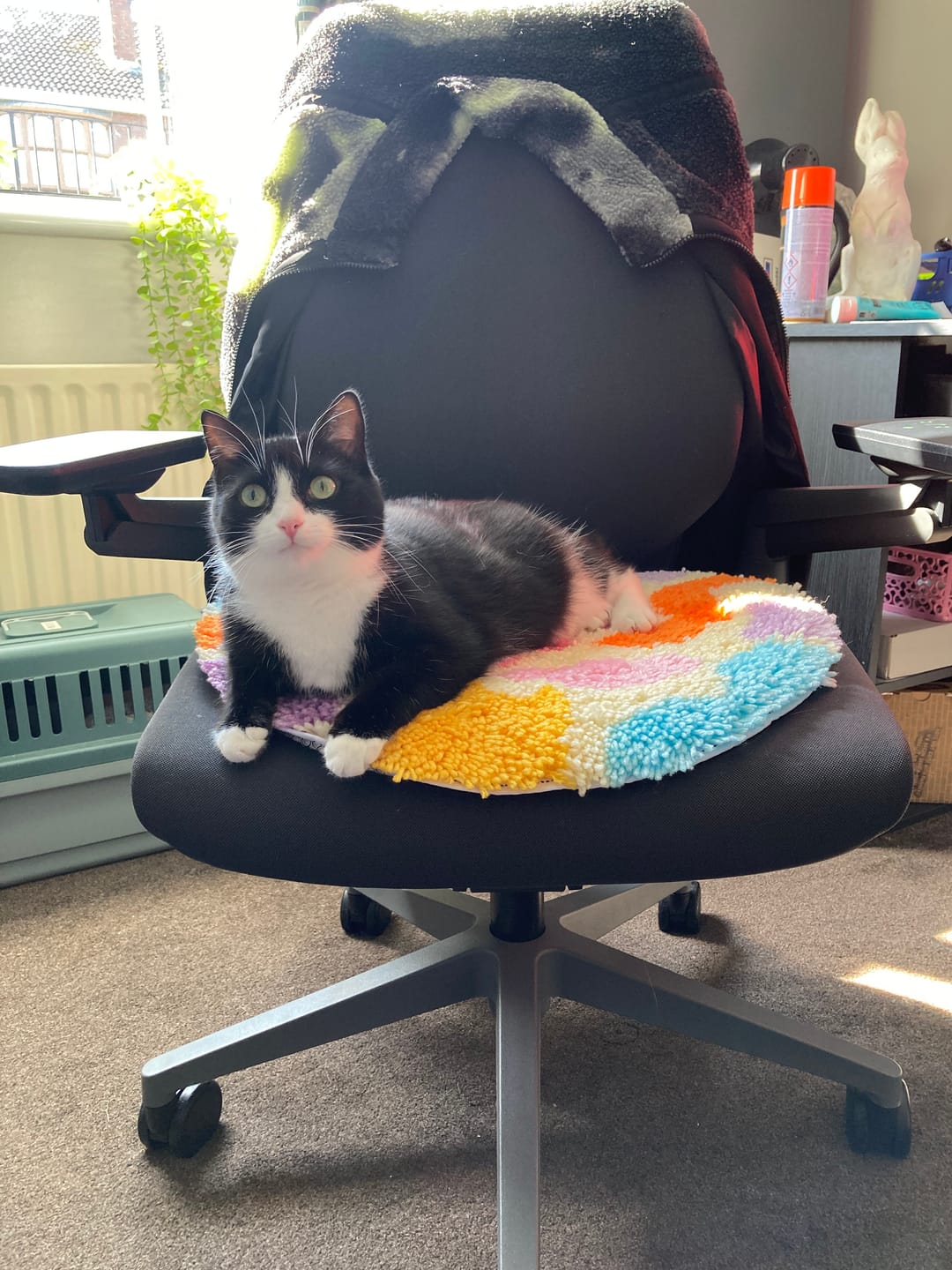 Customer photo review of BOTANIC - BRIGHTS Rug Making Kit