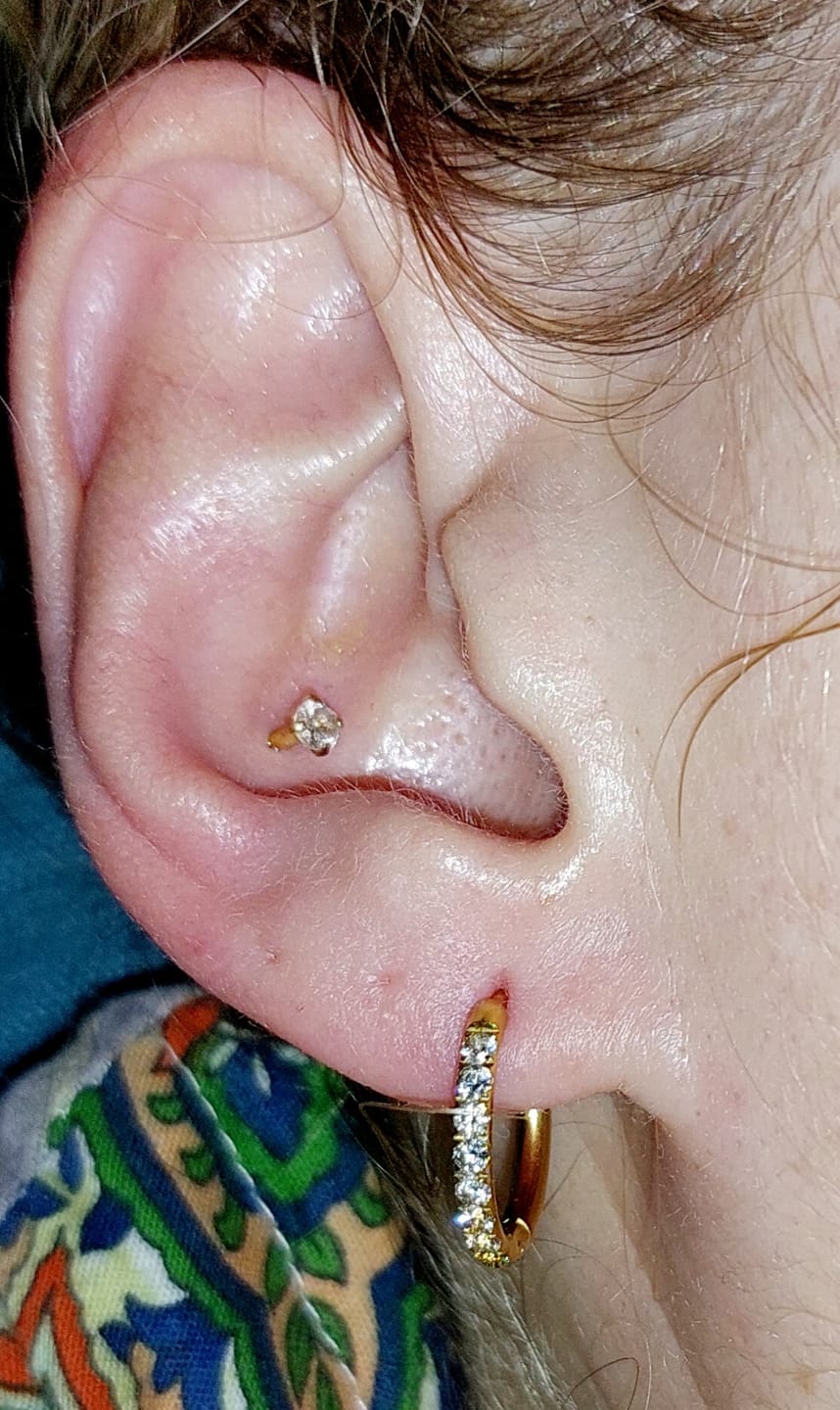 Customer photo review of Britney Piercing | Titan