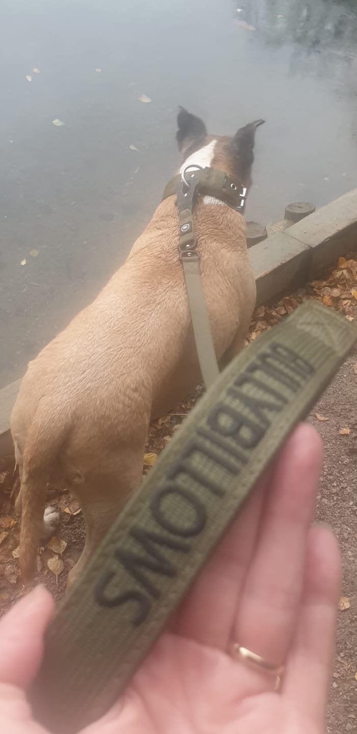 Customer photo review of 1.4m Swivel Combat Lead | Neoprene Lined, Secure Rated Clip with Soft Handle - Khaki