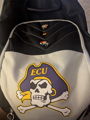 Customer photo review of Ally Pin