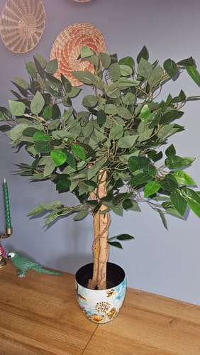 Customer photo review of Ficus Kunstboom 90cm