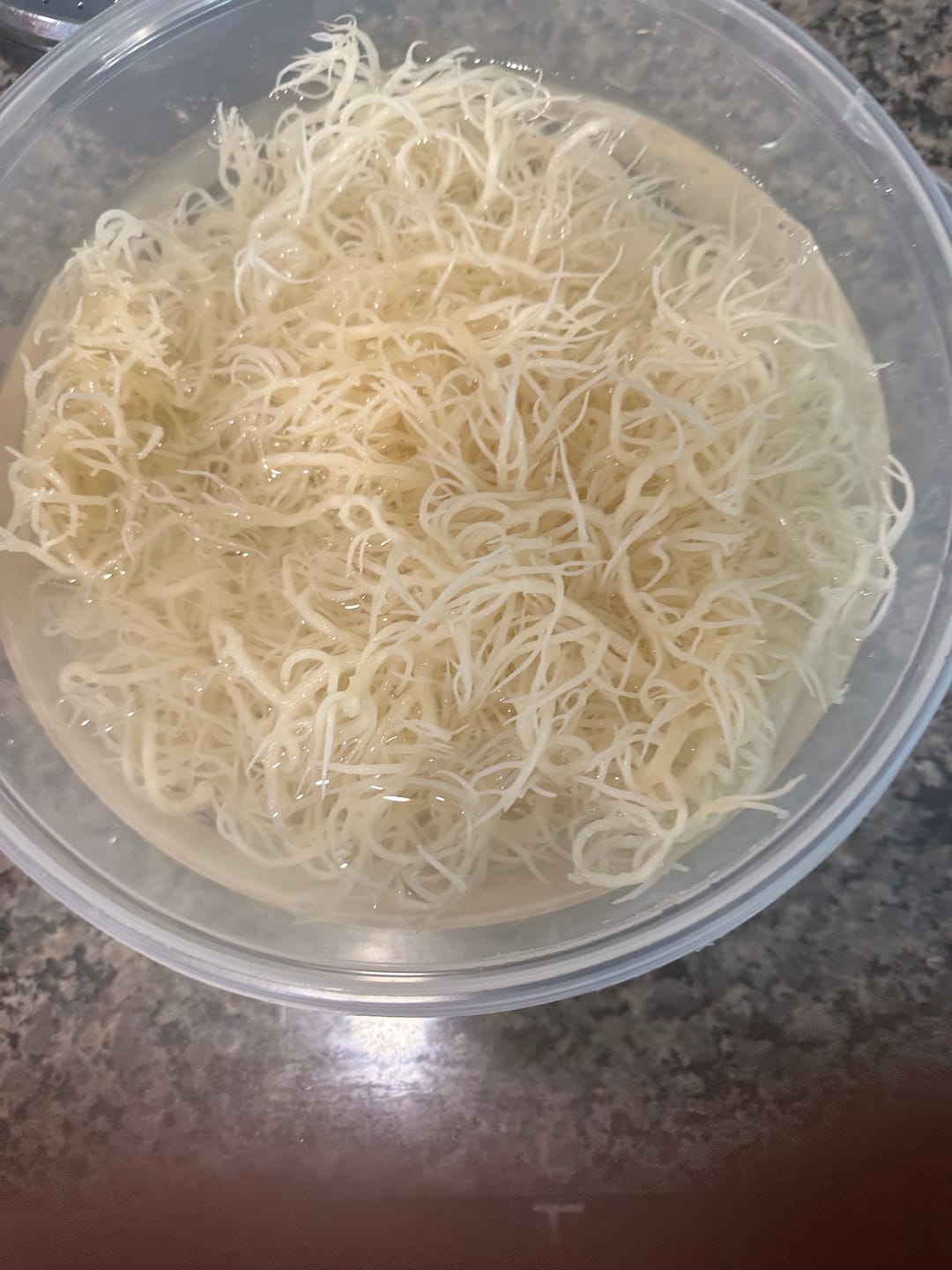 Customer photo review of PREMIUM RAW SEA MOSS
