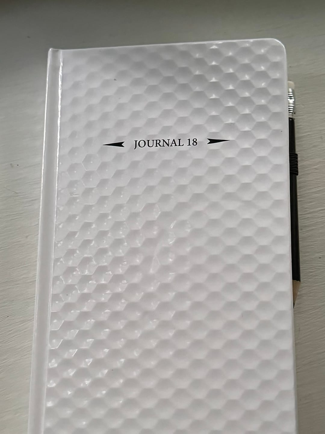 Customer photo review of The Performance Journal