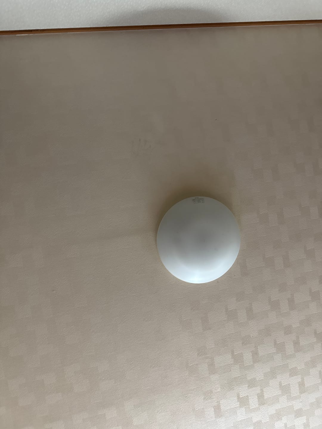 Customer photo review of PANP RIDE PRO（ライド プロ）