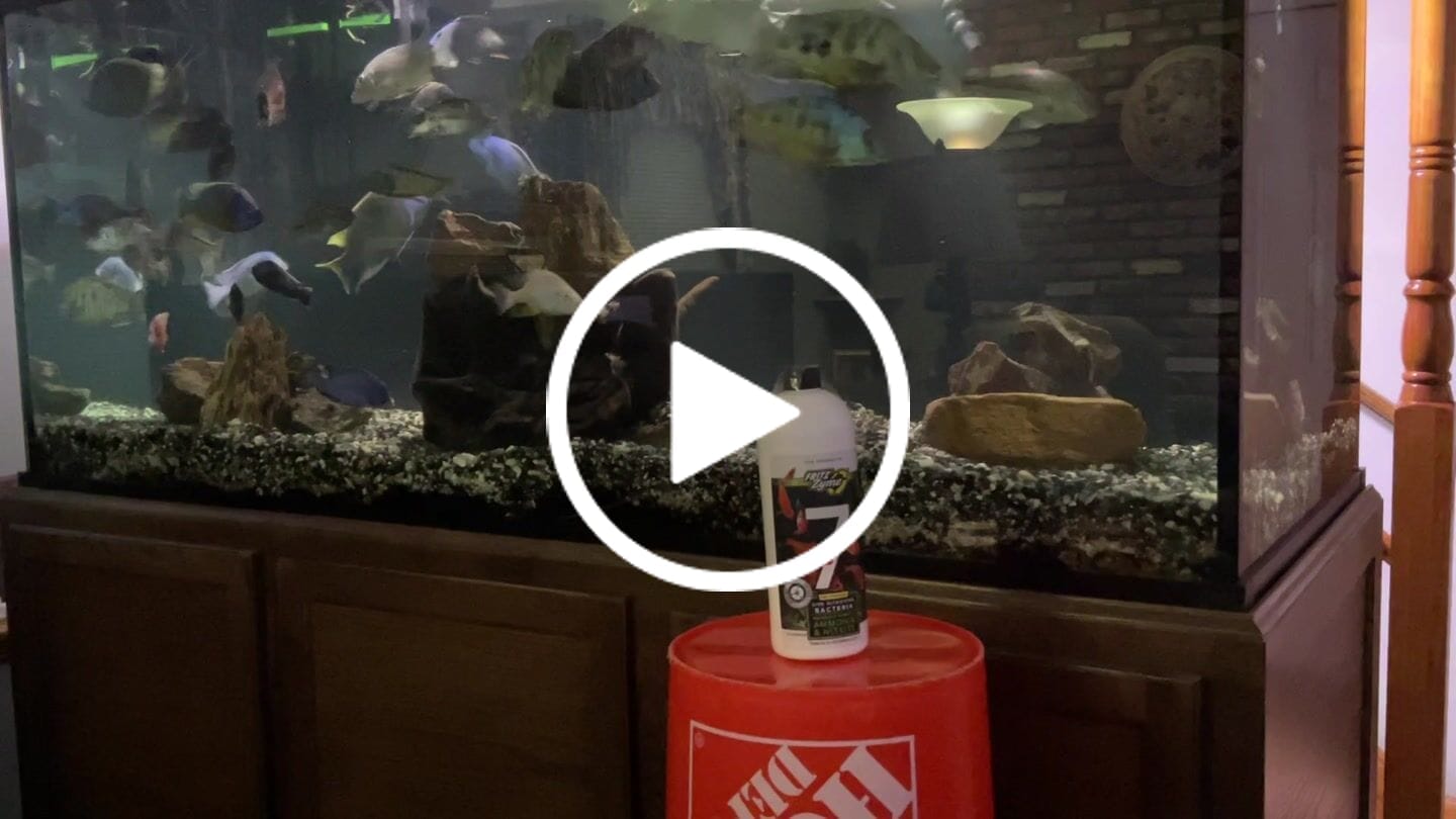 Customer video review of FritzZyme 7 Freshwater Live Bacteria
