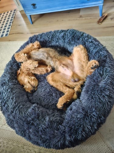 Customer photo review of CalmBed - Motverkar stress & hjälper mot ångest