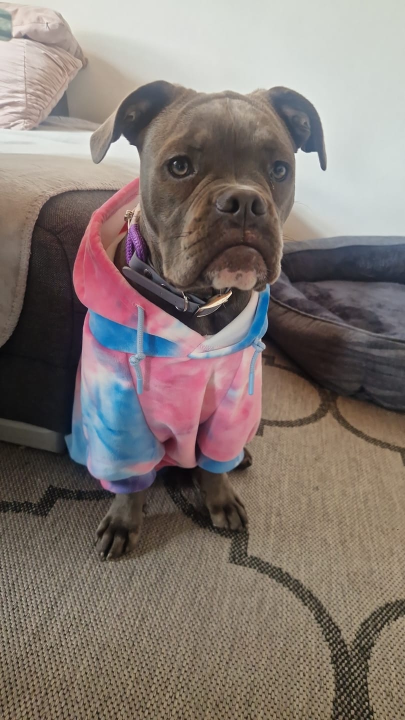 Customer photo review of Velvet Human Hoodie - Snow Cone
