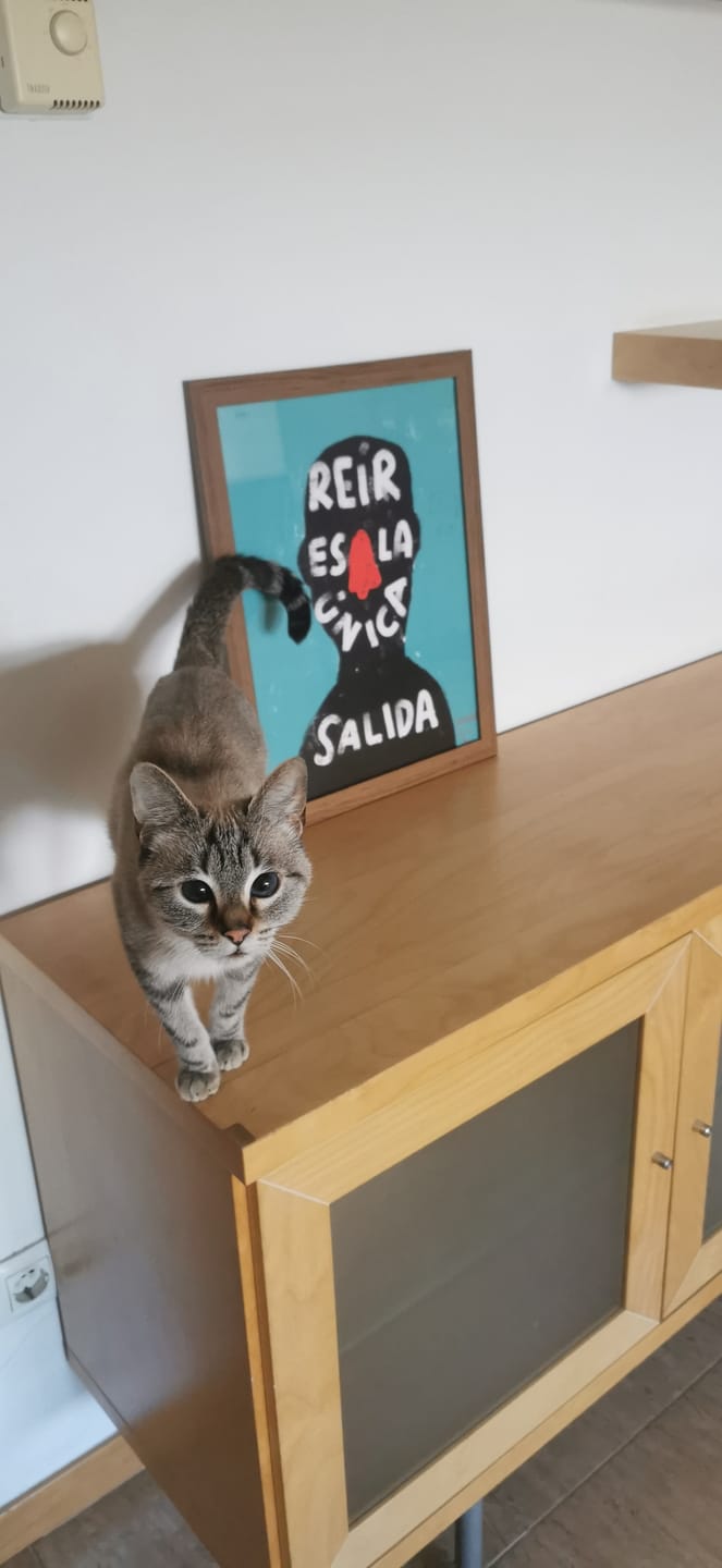 Customer photo review of Print "Reír es la única salida"