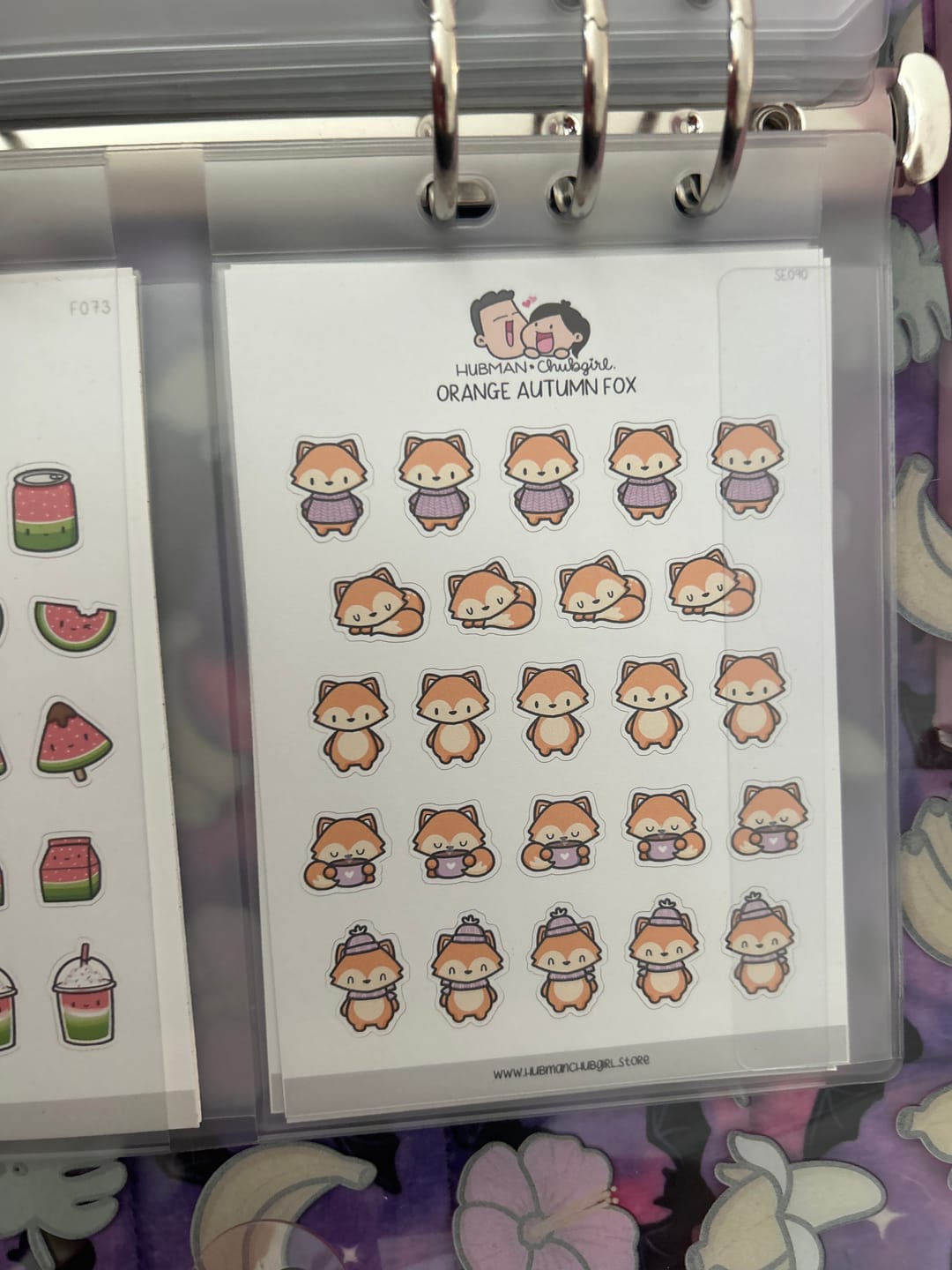 Customer photo review of Orange Autumn Fox Planner Stickers
