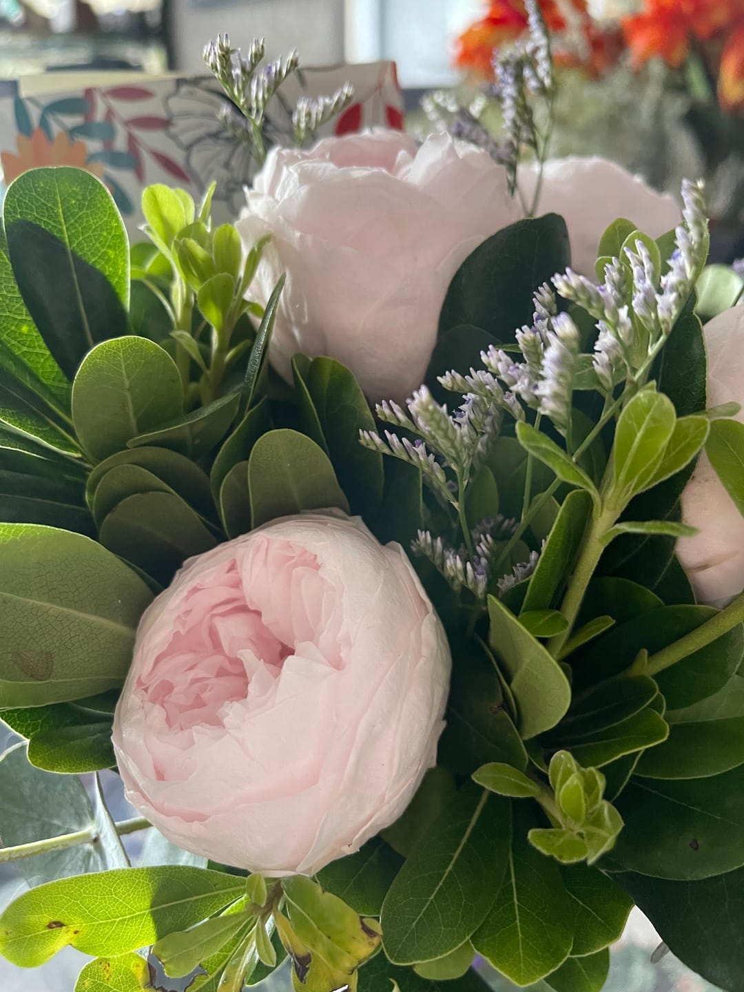 Customer photo review of Limonada Rosa - Peonia Eterna Rosa