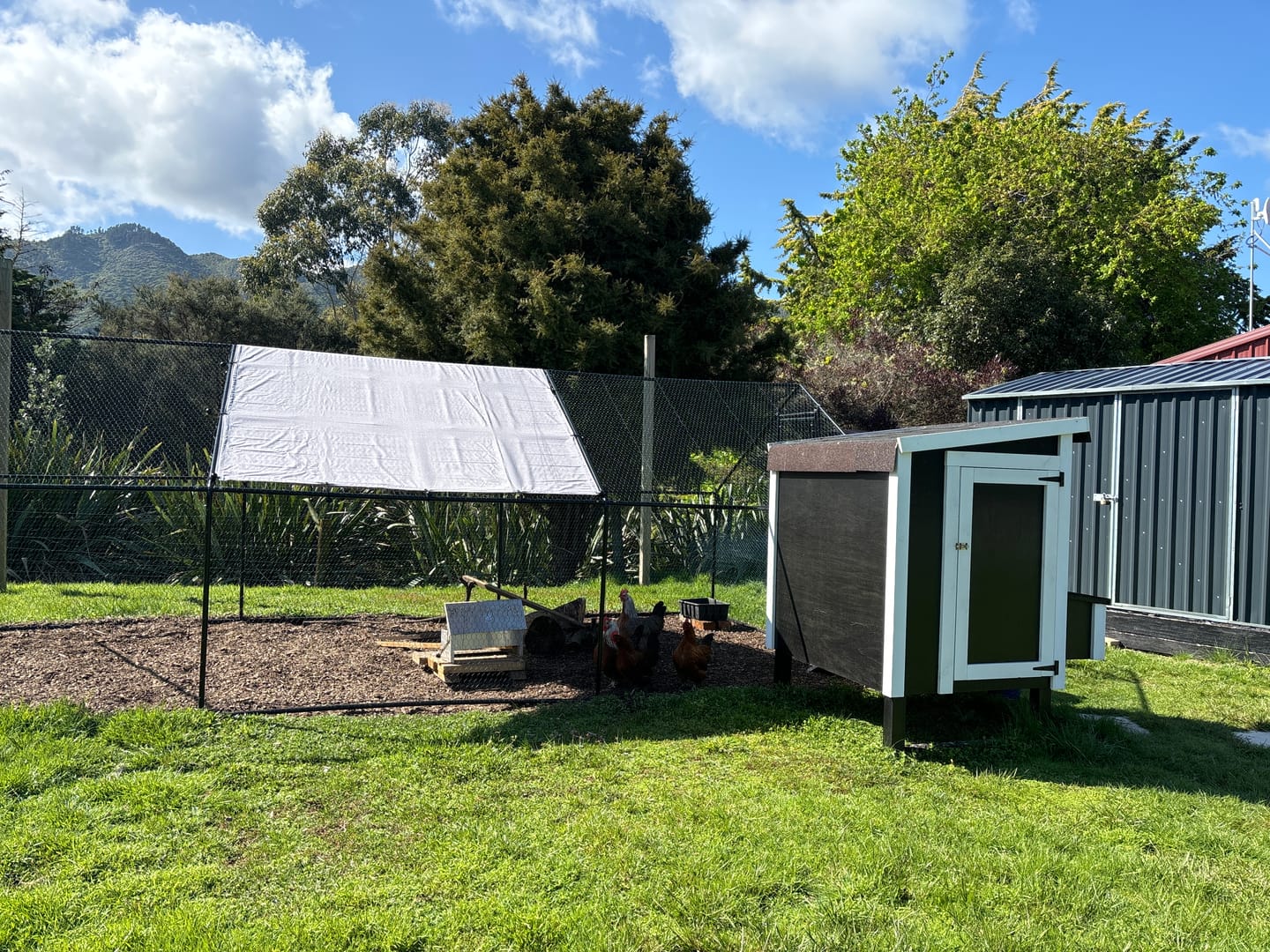 Customer photo review of Outdoor Chicken Run With One Cover - 300x600x200cm, Upgraded Frame for Extended Durability