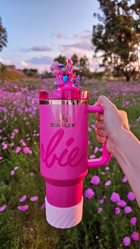 Customer photo review of Stanley Quencher Barbie™  Icon | 1L