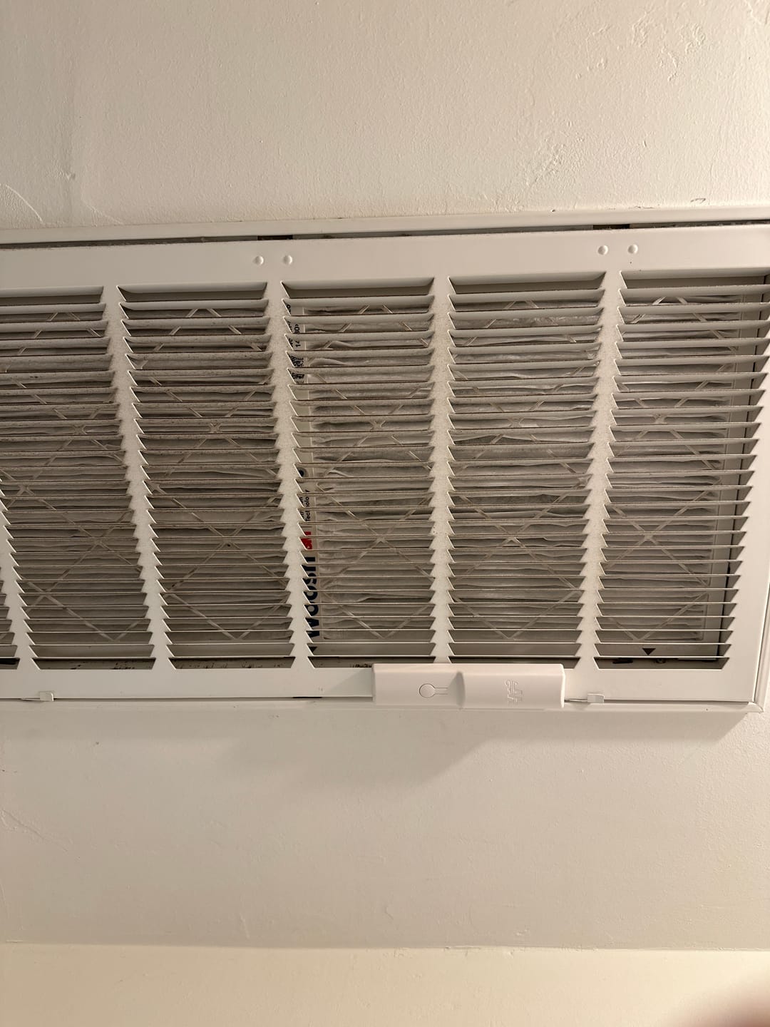 Customer photo review of Fold™ Filter