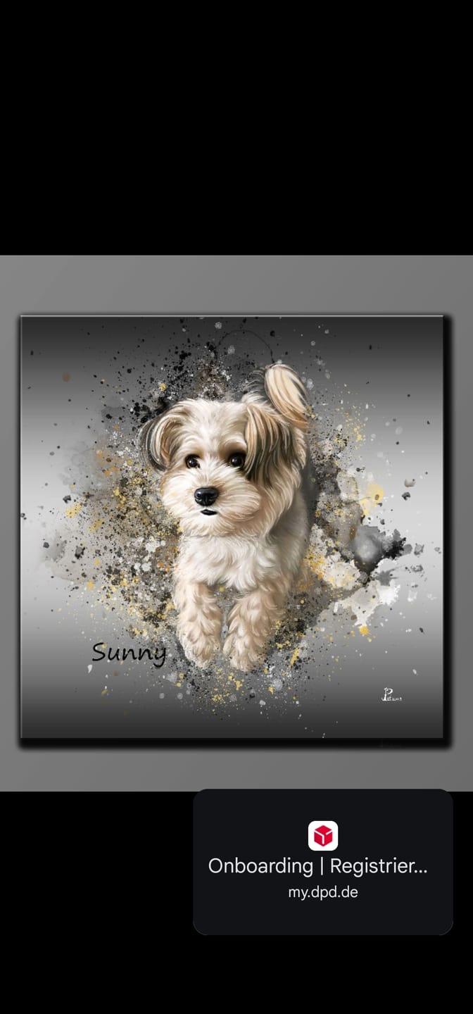 Customer photo review of Handgemaltes Haustierportrait auf Premium Leinwand im Ink Stil