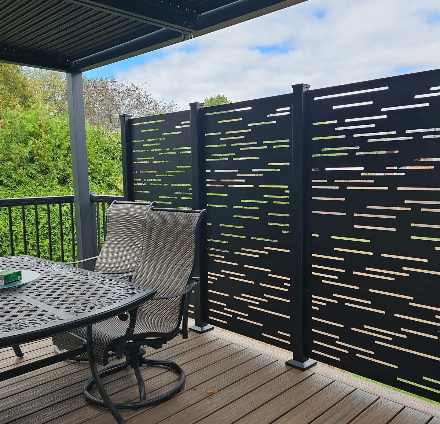 Customer photo review of Privacy Screen (Dash)