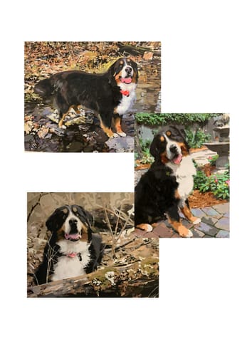Customer photo review of Paint Your Pet by Numbers Featuring Custom Paint by Numbers Kit