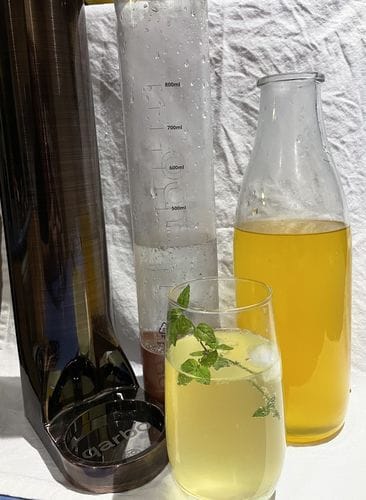 Customer photo review of qarbo CLASSIC - Sparkling Water Maker and Fruit Infuser