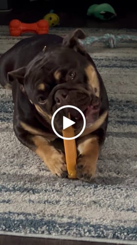 Customer video review of MIX FLAVORED (Strawberry, Banana, Pumpkin, & Blueberry): A PACK OF 4 STICKS