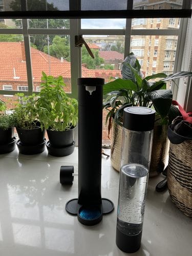 Customer photo review of qarbo*gas 60L CO2 Cylinder Home EXCHANGE - twin pack