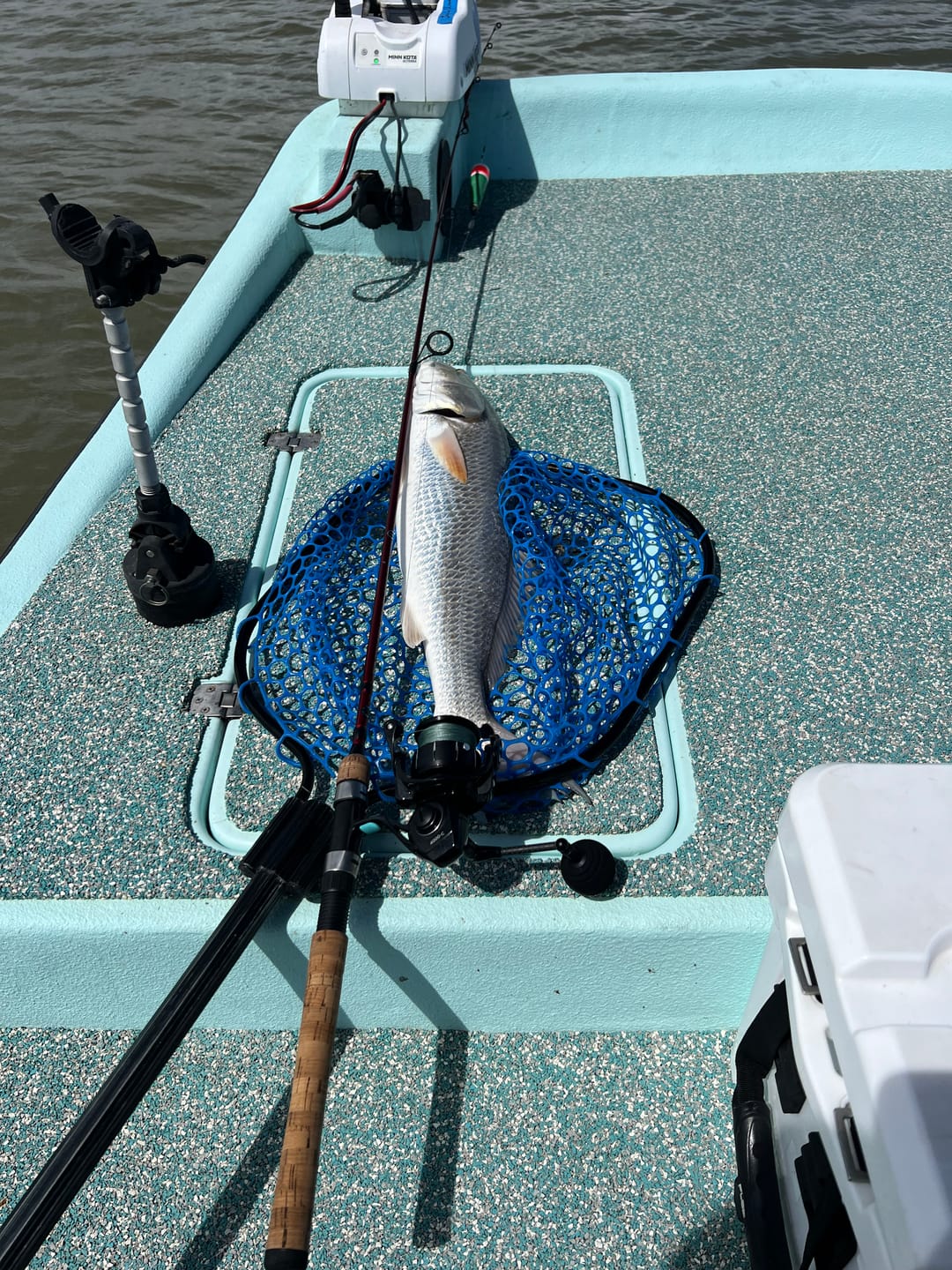 Customer photo review of Carbon Elite Nearshore Spinning Reels