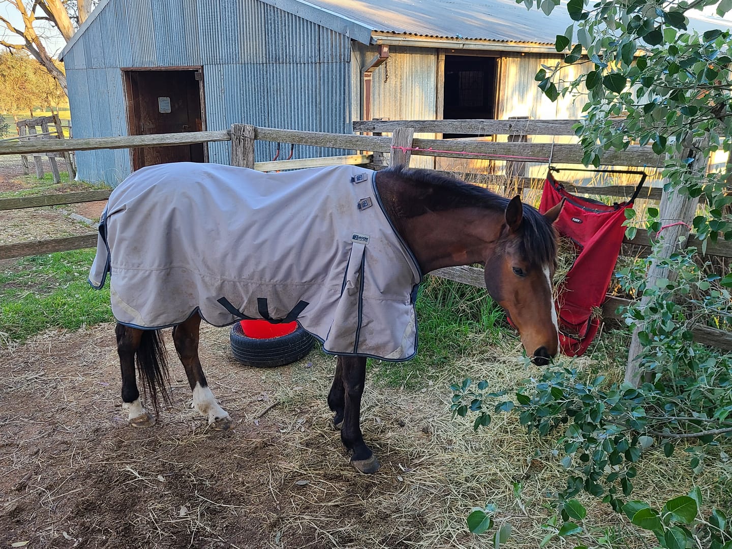 Customer photo review of LE Boxter Turnout Ripstop 50g