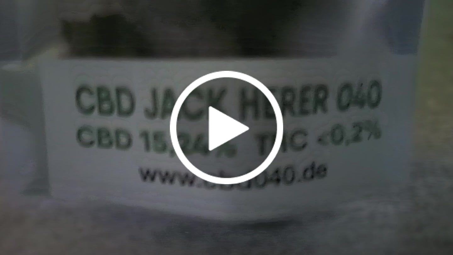 Customer video review of Jack Herer CBD Blüten Indoor