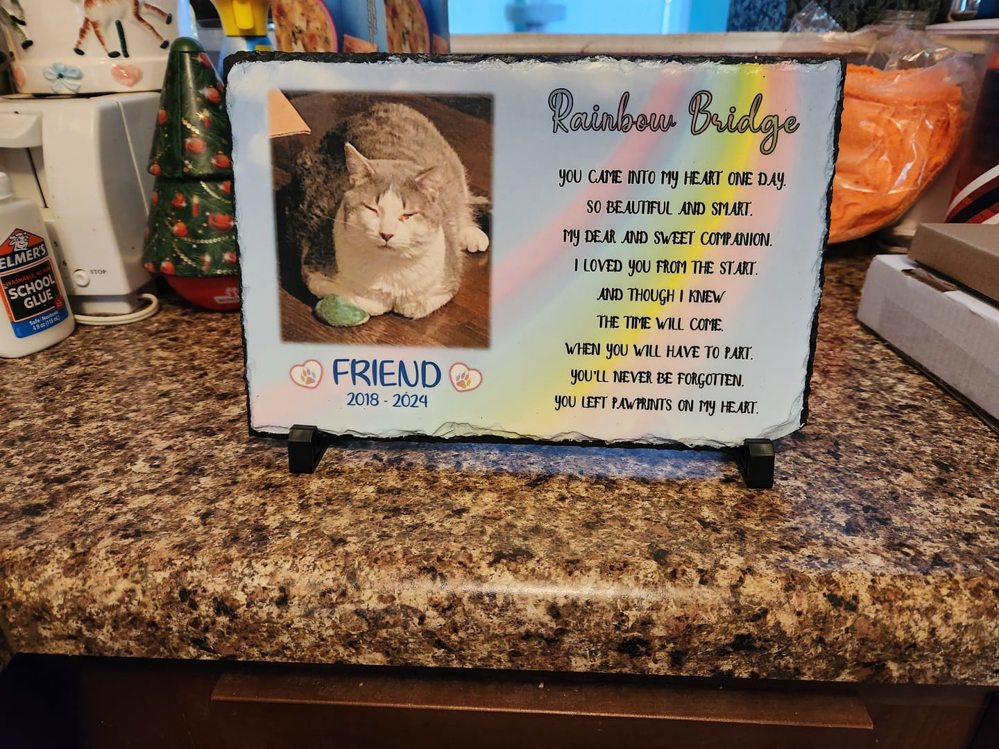 Customer photo review of Cat Memorial Plaque Personalized Rainbow Bridge Pet loss Keepsake