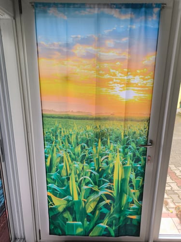 Customer photo review of Fotovorhang "Maisfeld mit Sonnenuntergang"