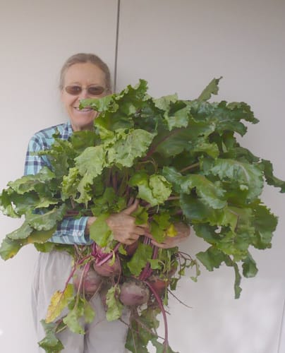 Customer photo review of Greensand Fertilizer Soil Amendment for Gardening