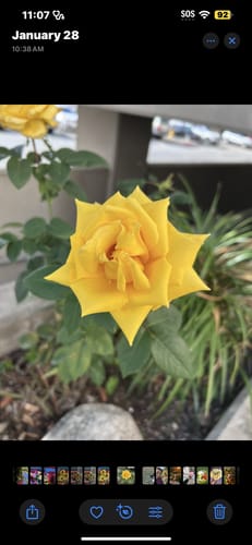 Customer photo review of Cherry Flavored Wipes