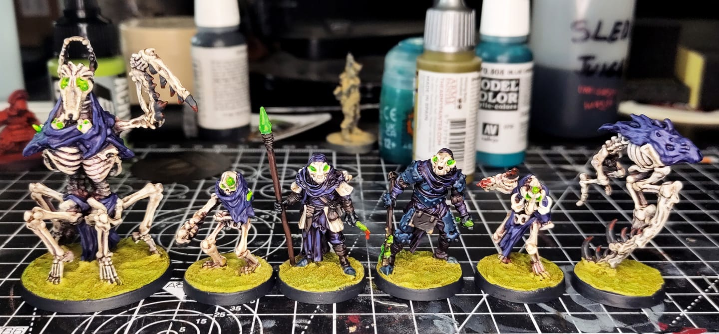 Customer photo review of Bone and Darkness Faction Set