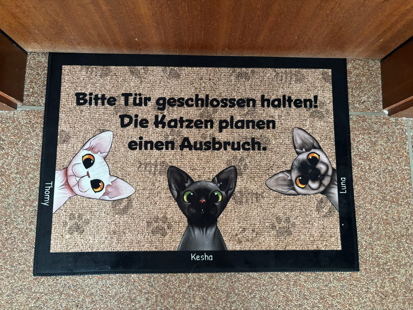 Customer photo review of Katzen planen einen Ausbruch - Individuelle Fußmatte