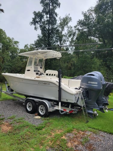 Customer photo review of Citrus Shine Foaming Boat Soap