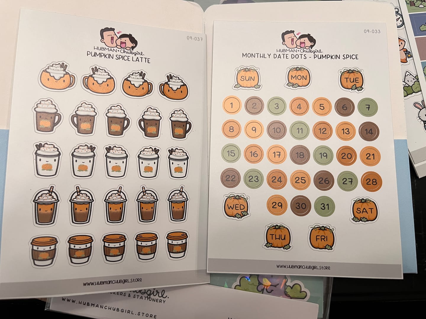 Customer photo review of Pumpkin Spice Latte Planner Stickers
