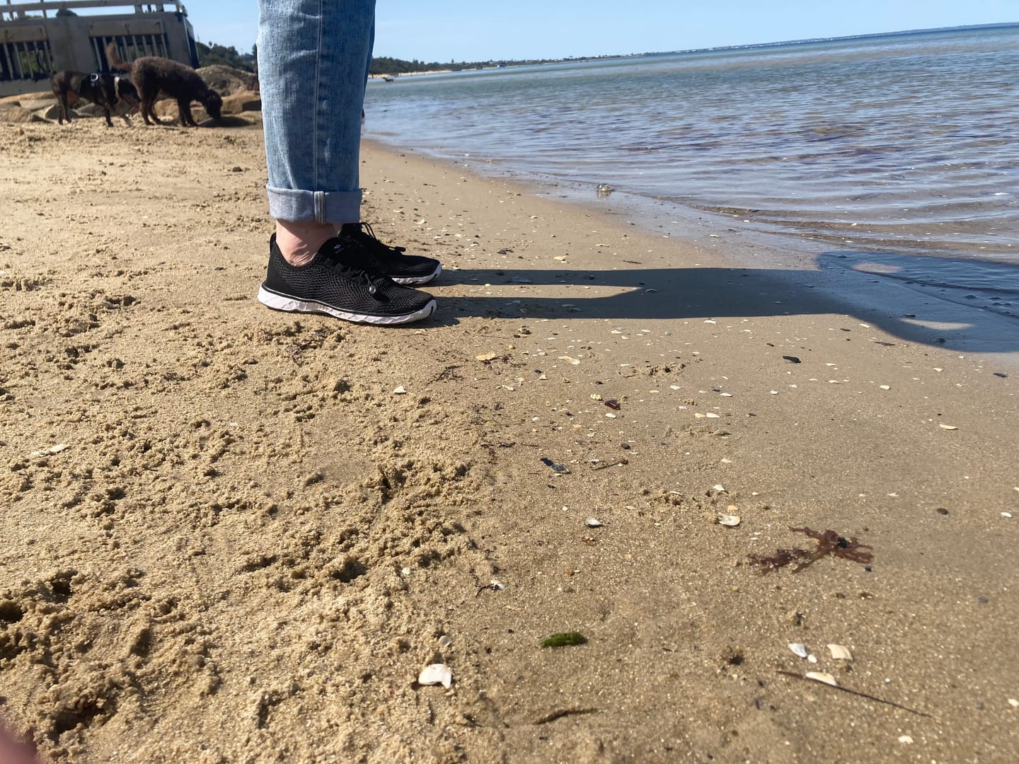 Customer photo review of Aleader Women's Xdrain Classic Knit 3.0 Water Shoes